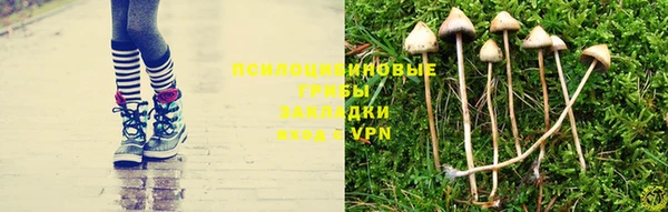 mdpv Алексин